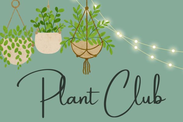 Plant Club: A place where people can relax after a long week