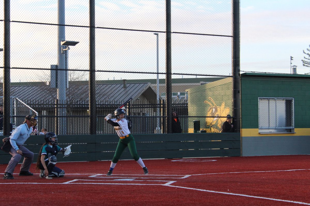 More Than Just a Game: FHS Softball Season Wraps Up 3-15
