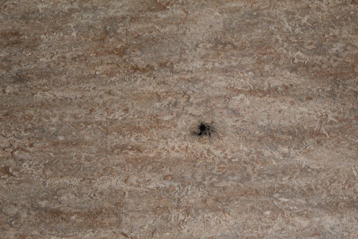 image2 (1)