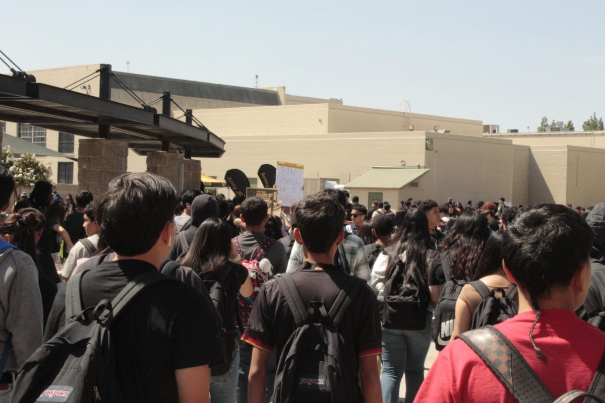 Crowd Shot 3, Club Rush