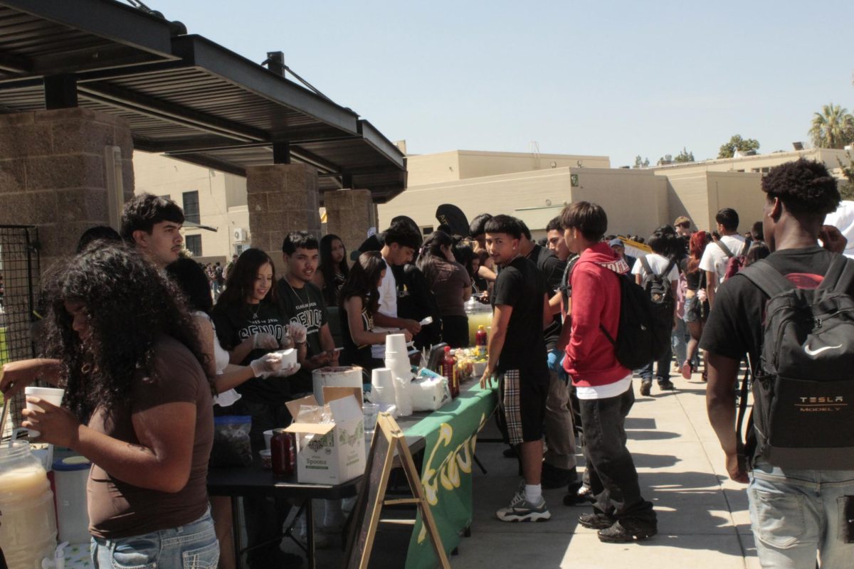 Crowd Shot 2, Club Rush